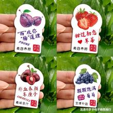 ˮ˺Nz˹И˺Oݮ}ψDr