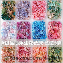 ����������u׃ɫ�ֹ�diy�ɻ���Ь�NĘ�����ֻ����F����Ӊ�����