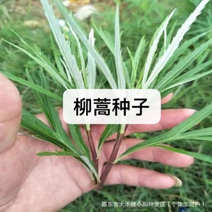 ����N���J��N�� �Ͼ��خa�����ļ��ļ��Nֲ޼���߲�ˮ����