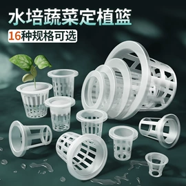 纪念币;塑料塑胶标签;塑料盒