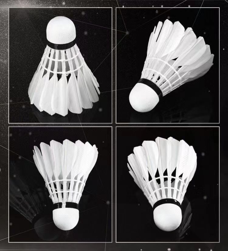 3c4f191d-68e7-4486-934a-f3827e5e216e.jpe