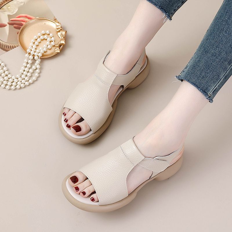 Elegant View 2