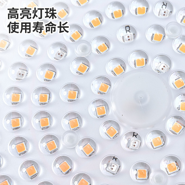 LED plant lamp