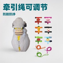 �羳 ���Ӡ����K ����Ó���{���ر��� �����ͷ�ҧ ��ͨС�������K