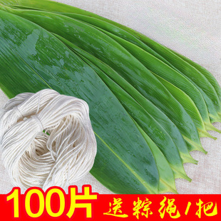 Zongzi Leaf Zongzi Leaf Fresh Big Brown Leaf Household Wide Leaf Zongzi Vacuum New Leaf AliExpress One Piece Free Shipping
