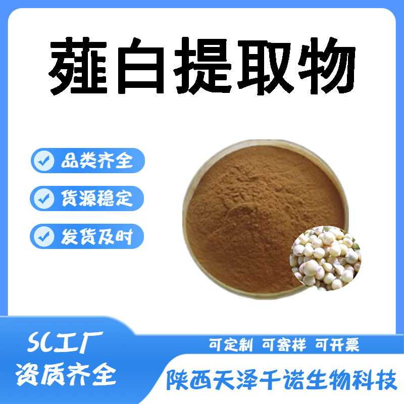 薤白提取物 10:1 30:1 喷雾干燥粉 薤白萃取 水溶 薤白多糖 现货1