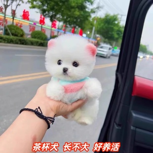 ���N���鲩��Ȯ��Ȯ��ɫ�豭Ȯ��С����Ȯ�ɐ��L����Č��ﹷӖ��