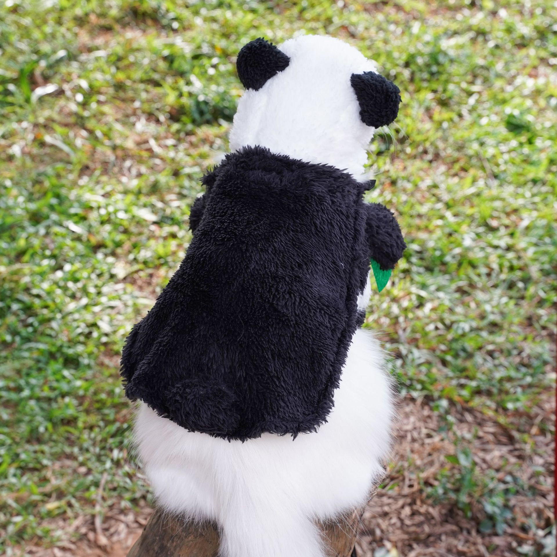 Ropa para mascotas Amazon transfronteriza Panda de pie transformación traje divertido oso de peluche perro gato ropa