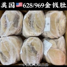 ����628���X��969�����˹ţ��ë��ţ�s���û�偻���ţ���~�uζ