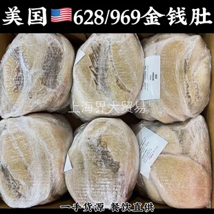 ����628���X��969�����˹ţ��ë��ţ�s���û�偻���ţ���~�uζ