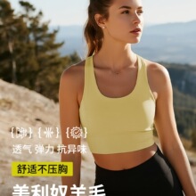 灰壳美利奴羊毛速干内衣排汗文胸户外健身美丽诺外穿运动bra背心