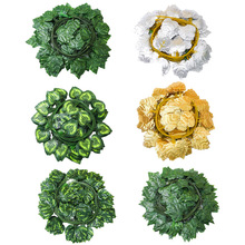 �S�����l���������~�ٗl�쾰�����ّ������Gֲ��ɽ���~�����ٗl