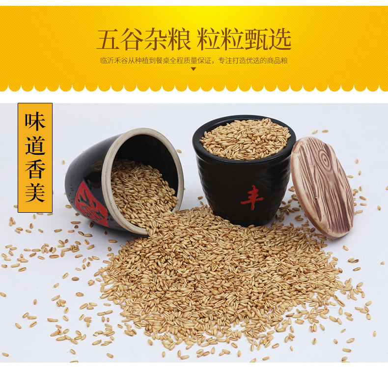 Hulled Oat Groats Yan Mai Ren 燕麦米 Low Temperature Roasted Whole Grain for Milling and Porridge 25kg Bulk Bag in use