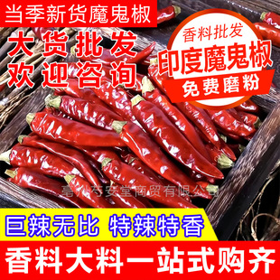 ӡ��ħ����������ħ���������������������������������ۼt������