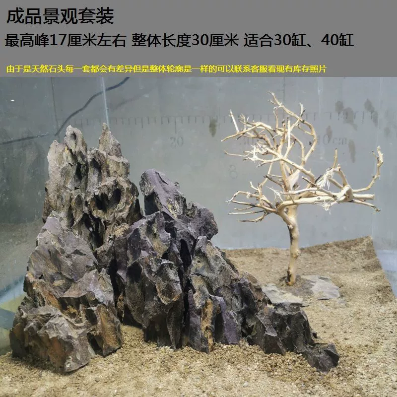 Sansui, aquarium, skeleton, set, wholesale, Amazon