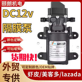外贸DC12V72W 6A隔膜泵电动智能喷雾器高压水泵shopee美客多