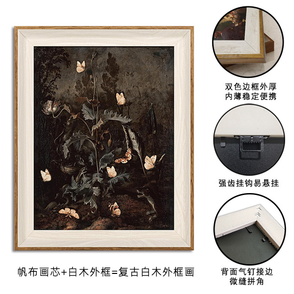 나비 (35) 외부 프레임 뒷판