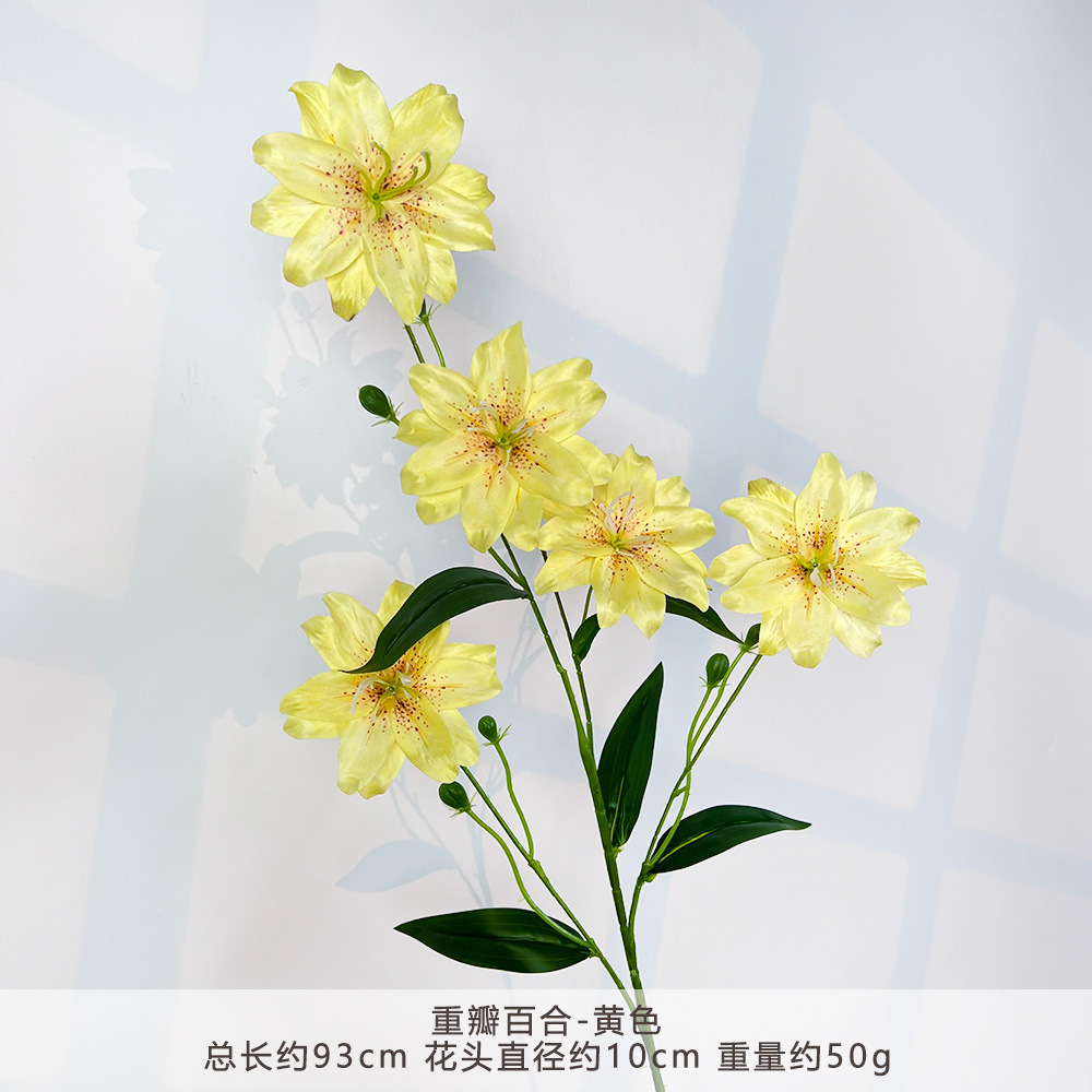 WP-重瓣百合-黄色
