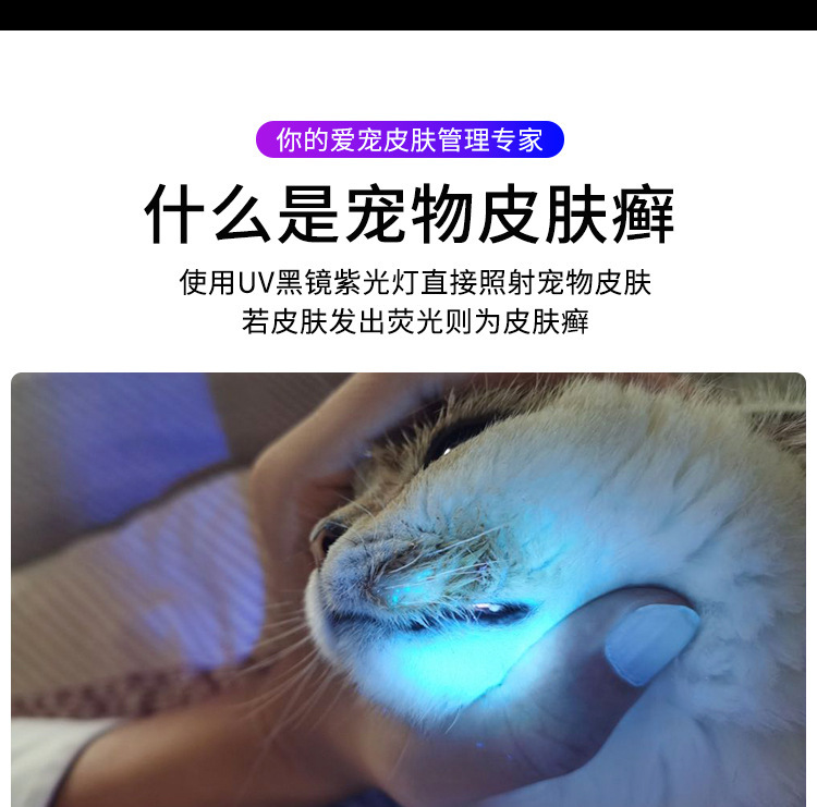 High-power Woods' purple flashlight 365nm UV identification tobacco and wine anti-counterfeiting fluorescent agent cat ringworm detection lamp