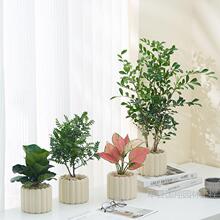 �k���������҃ȾGֲС���������L�[���҃�����ȩ�����՚��ļ����B