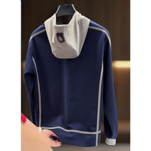 欧洲站轻奢高定大牌男装上衣2025秋新款人马字母刺绣宽松连帽卫衣