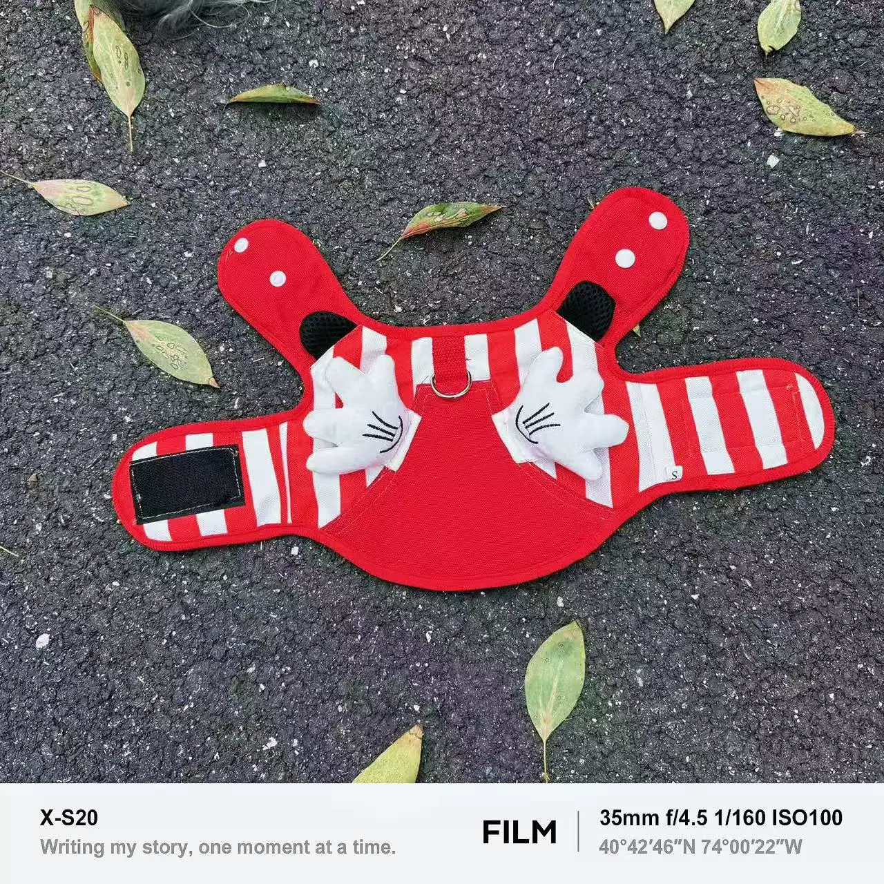 Жилет с тяговым тросом для домашних животных, кошек и собак, красный жилет для прогулок с Микки Маусом, тяговый жилет для йоркширского шнауцера Девона