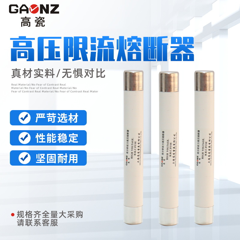 高压限流熔断器XRNP1高压熔断器 互感器熔断管变压器保护熔断器
