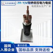 ZR-YJV阻燃低壓電力電纜無氧銅戶外架空電力電纜線廠家批發純銅