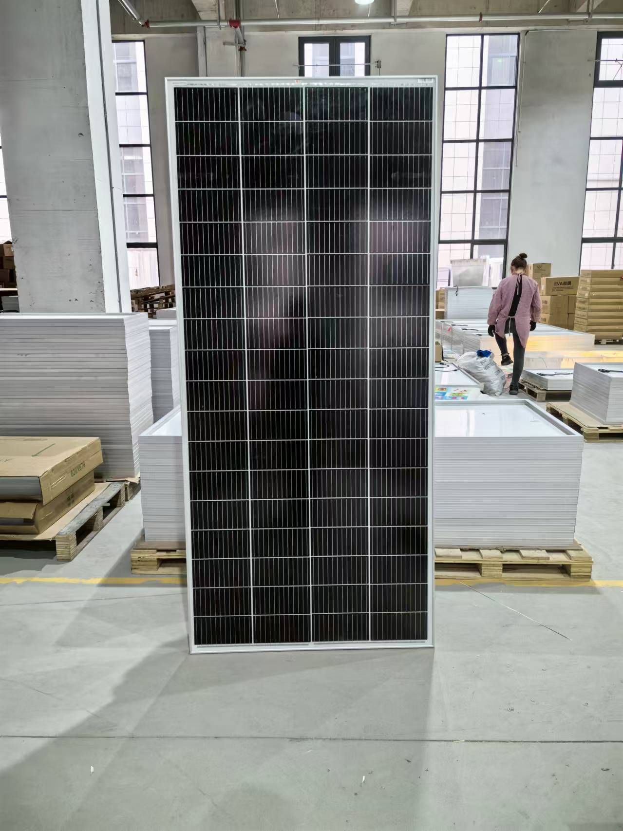 微信图片_20240824070549