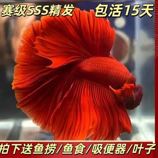 ̩�����~�W�t���t�ۼt�t�����ؔ�~���ô�����Ꭷ��ˮ�����~