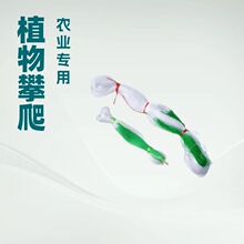 ���پWֲ��ɽș�S��������϶��ǽz�ϰ���������W�r�÷Nֲ�W�Ӵ�