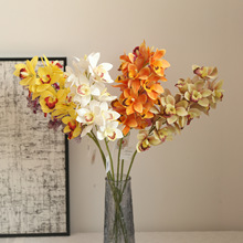 SֱƿĔz߼ҾbczӰ[zƬm֦