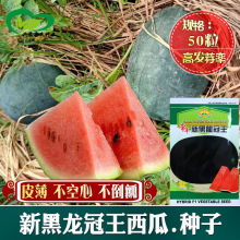 新黑龙冠王西瓜籽 黑美人西瓜种子早熟 蔬果种子口感好黑皮红瓤