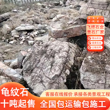 景观石头龟纹石天然原石造景石公园造景景区假山设计施工龟纹石头