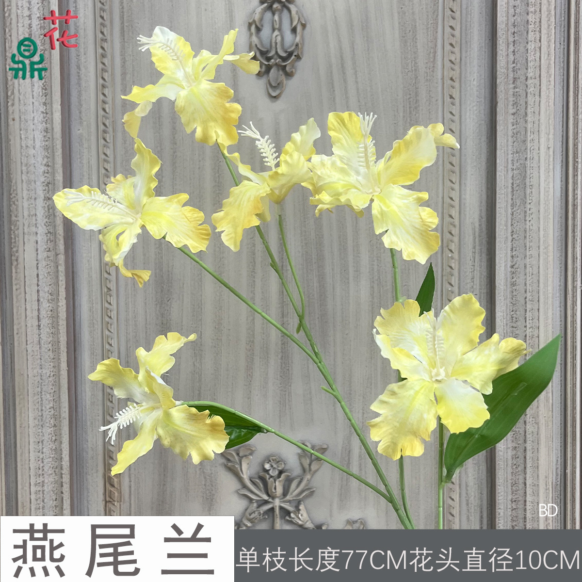 Hoa Lan Swallowtail BD Vàng