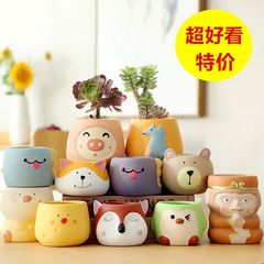 Wholesale ceramic plant pots for succulents, cartoon cute personalized succulent plant pots, Korean style, supports TEMU dropshipping one piece per order
