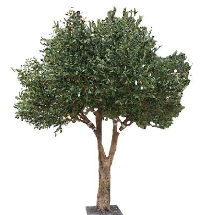 Olive de simulación artificial a gran escala Parque de atracciones Centro comercial Hotel Proyecto de paisajismo Decoración Árbol falso Olive de simulación