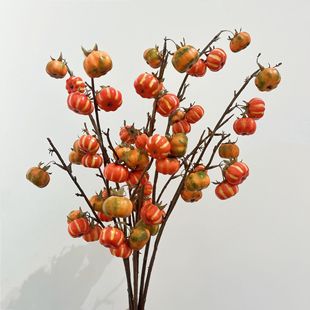 �����Ʒ�|С�Ϲ� �f�}�� �ﶬ���� �Ĕz���� �������� ��ˇ�OӋ