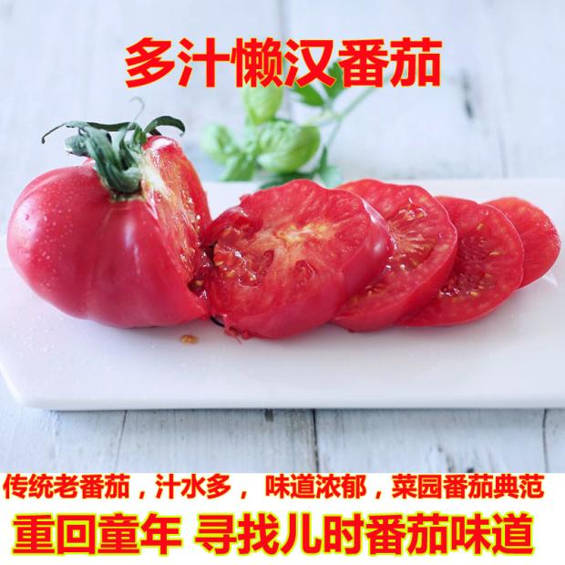 多汁懒汉番茄毛粉可留种西红柿水果蔬菜种子孑苗秧籽沙瓤四季