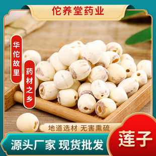 ɏ����ș�ļtɏĥƤ��ɏ��ɏ�_߅ȥоͨ�ĸ�؛�����Ҝ�șʳͬԴ