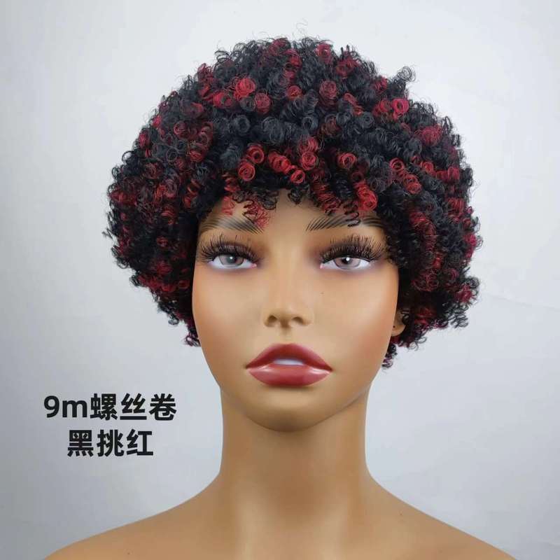 Short Hair Afro Kinky Curly Wigs For Women 100g爆炸头真人发|undefined