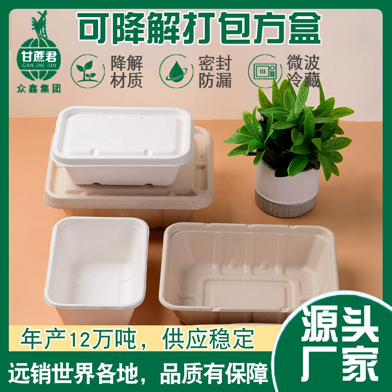 Одноразовая посуда из целлюлозы сахарного тростника Разлагаемая квадратная коробка Коробка для сбора на вынос Салат для пикника Пульпа Коробка для завтрака