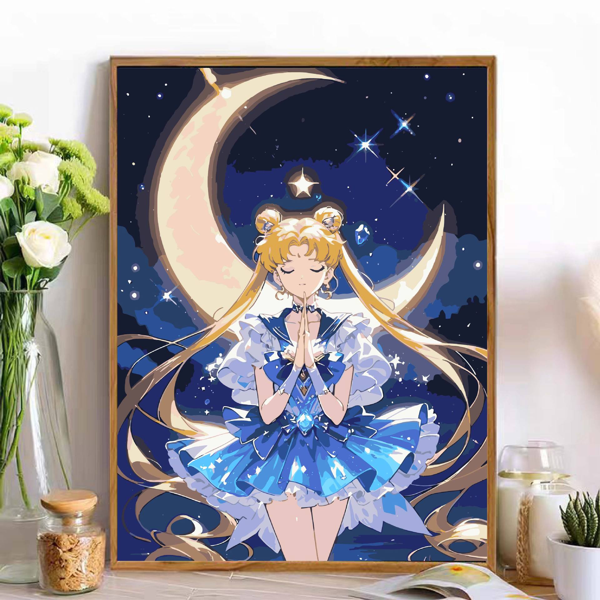Sailor Moon pinturas digitales pinturas a óleo DIY pinturas a color pinturas acrílicas pintadas a mano pinturas decorativas animados