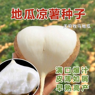 ���Rɽ�����N�ӷN����ˮ���ع��ش�߮a��ȿ������������ɳ������