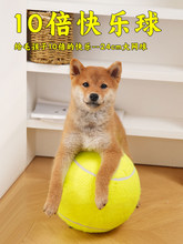 ���������ʮ���옷��W��24cm�����␞��Ȯ�»�����������Ʒ