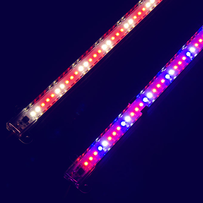 LED plant lamp