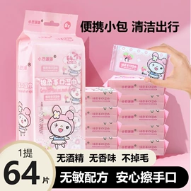 抹布、百洁布;湿巾纸;一次性洗脸巾