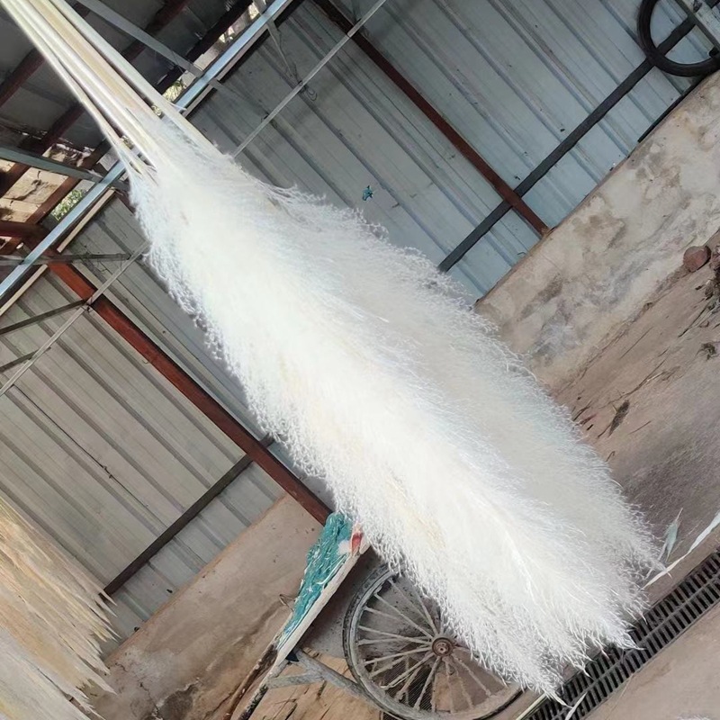 微信图片_20210113160133