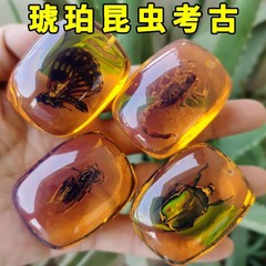 考古学発掘おもちゃ、宝石掘り、琥珀昆虫標本、ブラインドボックス、恐竜化石掘り、宝探し、卸売配送
