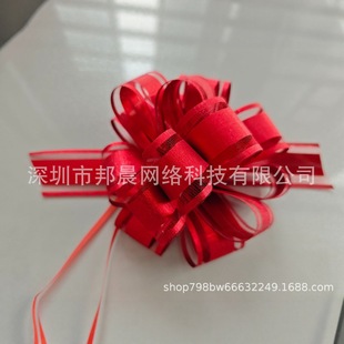 ѩ���ʎ��������z�� �羳���N�ʎ���������